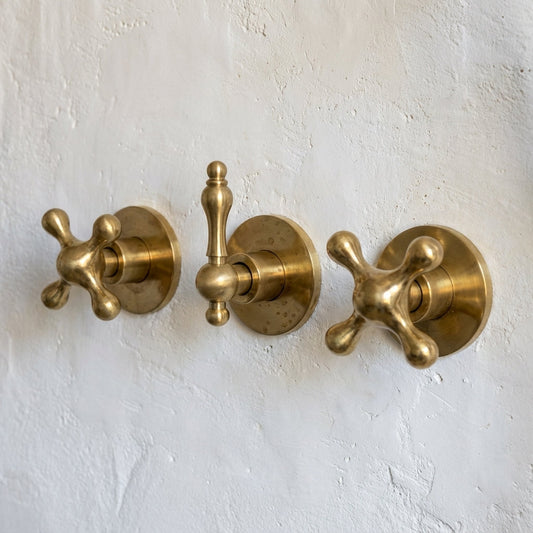 Unlacquered Brass Exposed Shower Set with Handheld