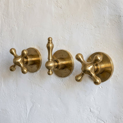 Unlacquered Brass Exposed Shower Set with Handheld