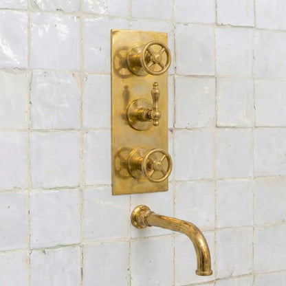 Heritage Unlacquered Brass Wall-Mount Shower System with Rain Head & Handheld