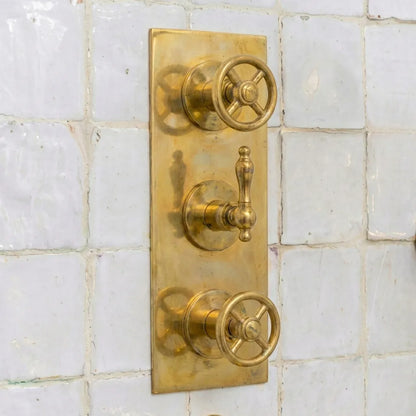 Heritage Unlacquered Brass Wall-Mount Shower System with Rain Head & Handheld