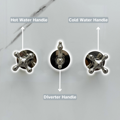 Polished Nickel Adjustable Flat Round Rain Shower System with Tub Filler — Straight arm (PNCSS-018)