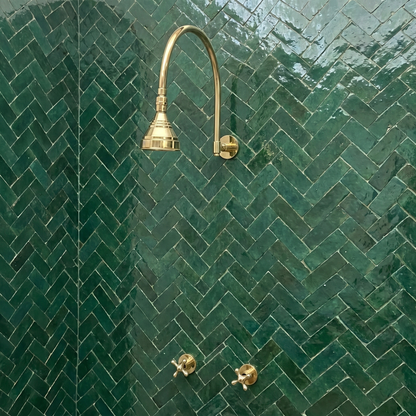 Unlacquered Brass Adjustable Round Rain Shower System