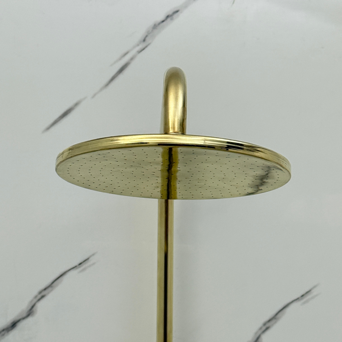 Unlacquered Brass Exposed Shower System with Flat Rain Head & Handheld
