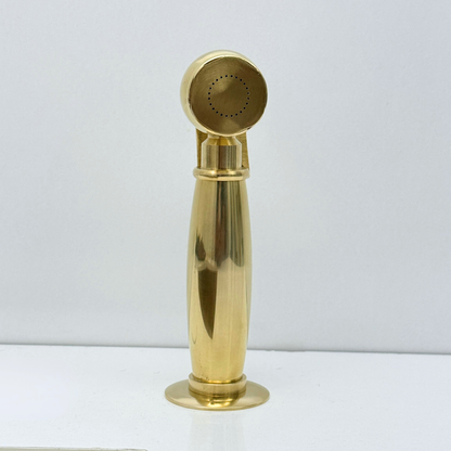 Unlacquered Brass Kitchen Side Sprayer