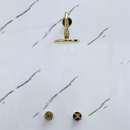Unlacquered Brass Adjustable Flat Round Rain Shower System