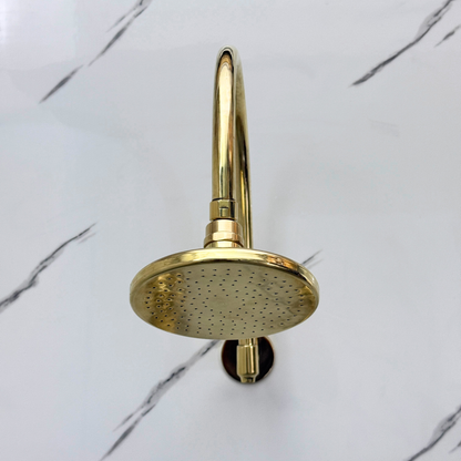 Unlacquered Brass Adjustable Flat Round Rain Shower System