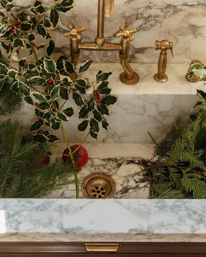 Lone Kitchen Faucet - Brasska