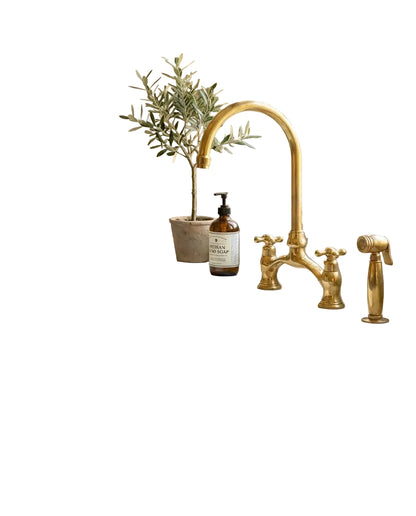 Victorian Unlacquered Brass Bridge Faucet With Side Sprayer - Brasska